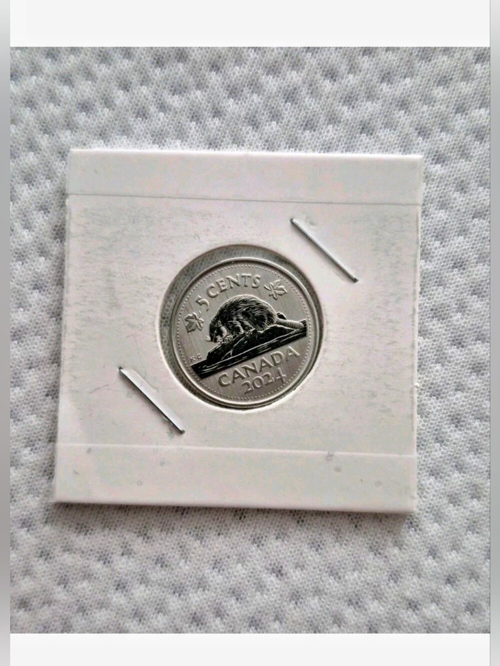 2024 Canadian 5 Cents Nickel - Beaver Design - Spicemen Coin Canada UNC